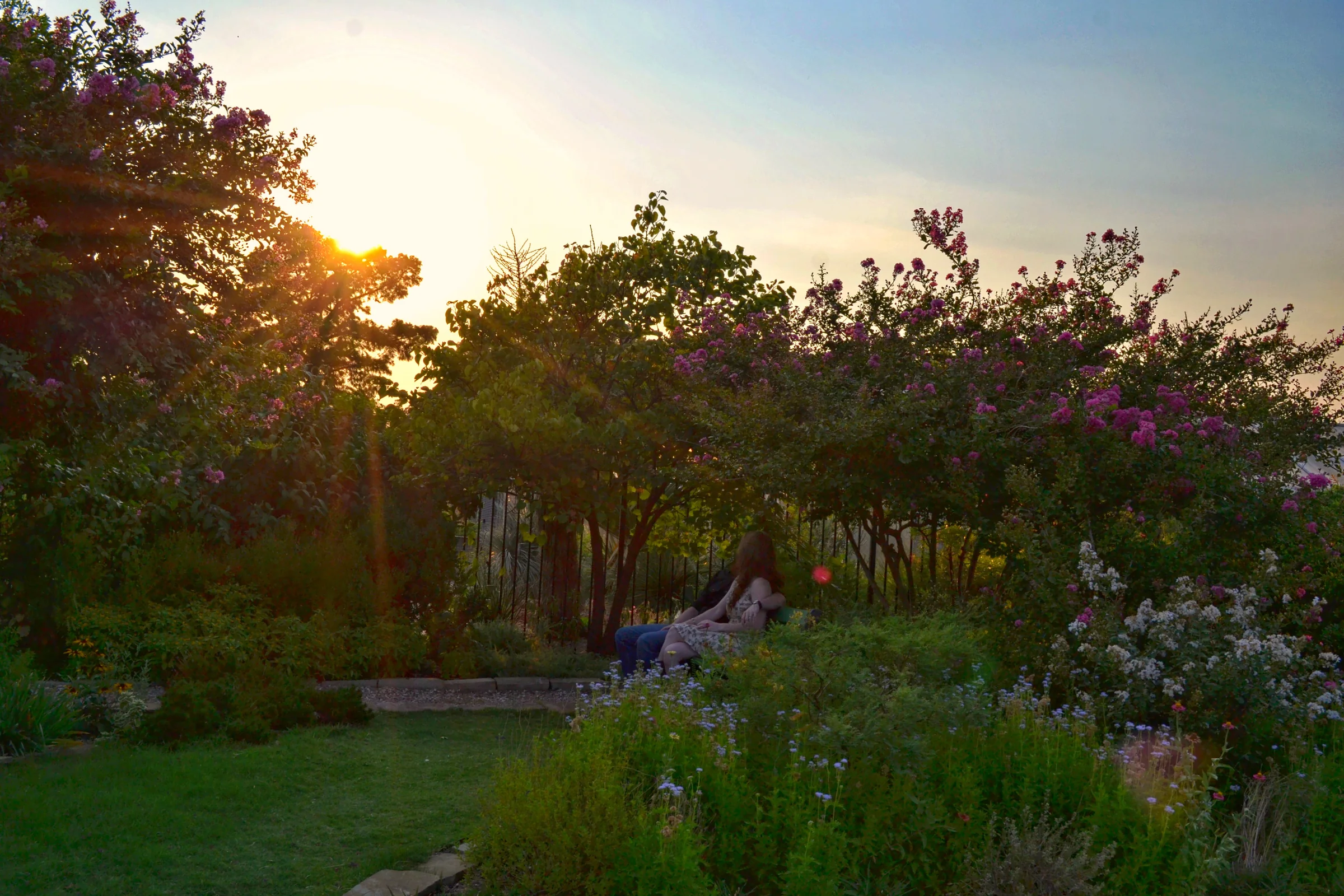 A couple seated together within a lush garden as the sun sets through flowering trees.