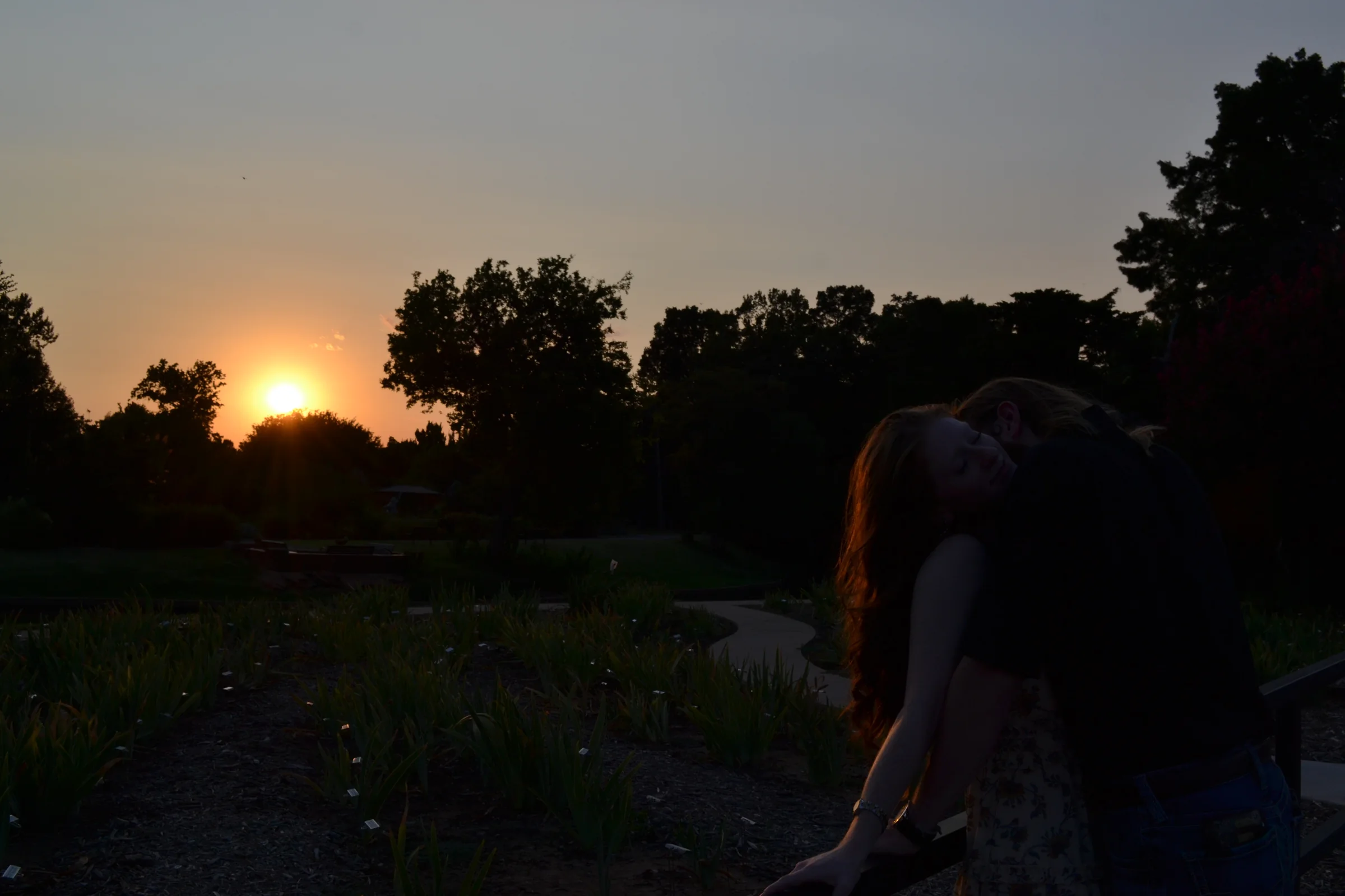 A couple embracing in silhouette against a low garden sunset.